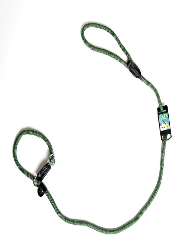 نوترا بت طوق ومقود انزلاقي 3 في 1 من نوترابيت للكلاب | طوق ومقود قابل للتعديل | حبل نايلون متين للتدريب والمشي | أخضر | صغير - Image 1